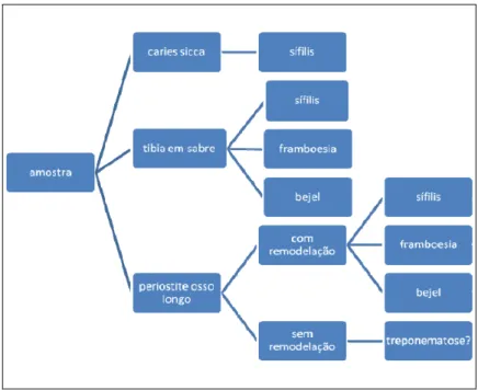 Figura 6: Esquema para diagnóstico diferencial segundo Powell &amp; Cook (2005) 