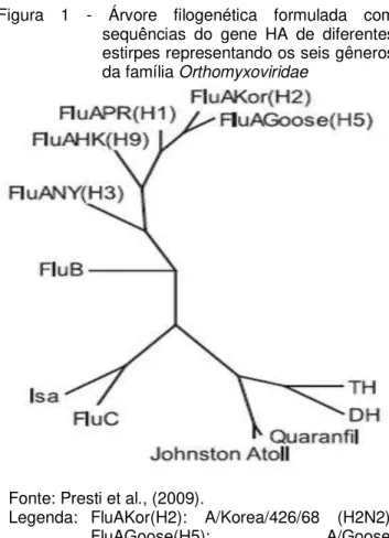 Figura  1  -  Árvore  filogenética  formulada  com  sequências  do  gene  HA  de  diferentes  estirpes representando os seis gêneros  da família Orthomyxoviridae  