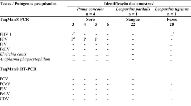 Tabela 5 – Resultados dos testes TaqMan® PCR e RT-PCR realizados para seis amostras de felídeos de vida    livre, distribuídos em função das amostras utilizadas e dos patógenos pesquisados