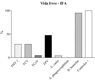 Figura 3 – Representação gráfica do percentual em que foram detectados anticorpos para FHV 1 (28,57%),   FCV (28,57%),  FCoV (4,76%),  Ehrlichia canis (4,76%),  Anaplasma phagocytophilum (0)  e  Bartonella henselae (95,0%), através de testes de imunofluore