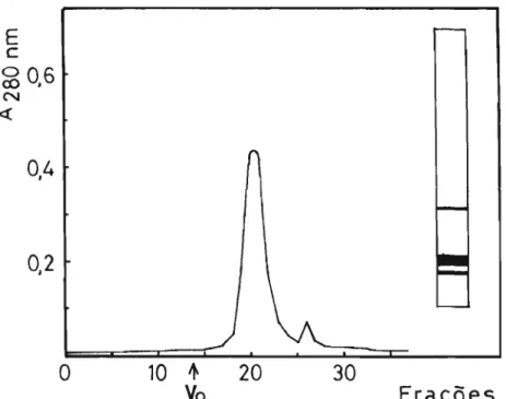 Figura 9 - Cromatografia em Bio-Gel P-100 do IA em tampão fosfa - -to-SOS e esquema de eletroforese em PAA-SOS das proteí