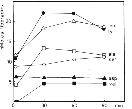 Figura 13 - Liberação de aminoácidos do IA pela carboxipeptidase A em função do tempo de incubação a 37 0 C e  identifi-caç ao do pro v ã ve1 te rm i na1 .