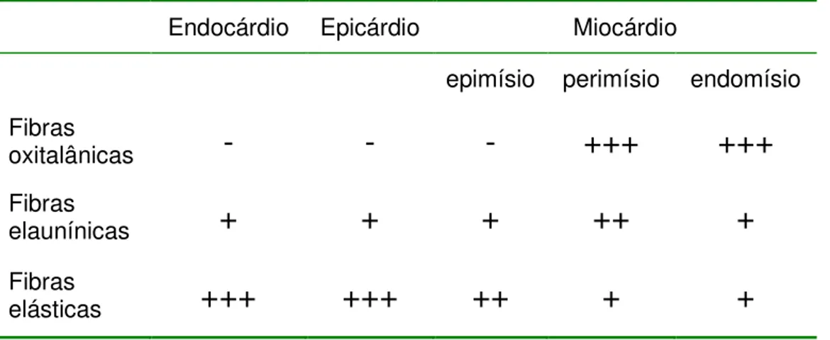 Tabela 1. Distribuição diferencial das fibras do sistema elástico no coração  de rato