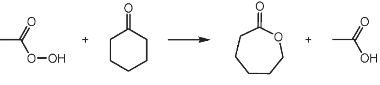 Figura 1.7  –  Processo de oxidação da ciclohexanona pelo ácido peracético, resultando em ácido acético e  em caprolactona, de: [41]