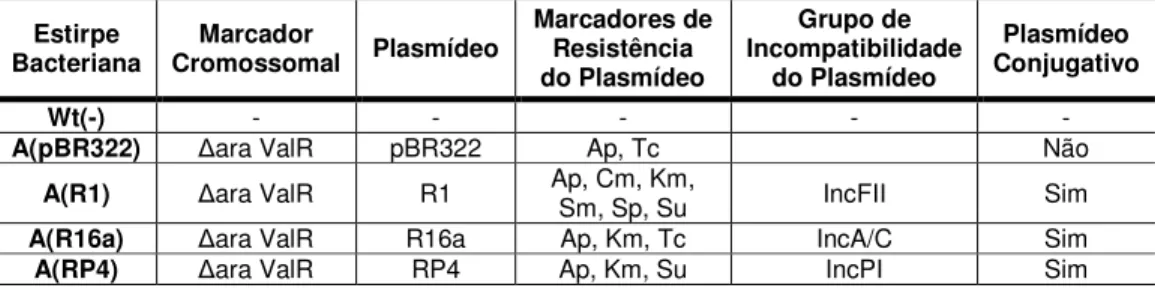 Tabela 1 – Estirpes bacterianas e respectivos plasmídeos. Lista de estirpes bacterianas usadas para  as experiências de competição  e respectivos plasmídeos