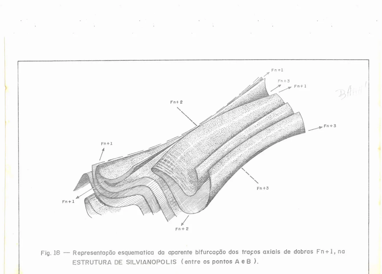 Fig.  I8  -  Representoçõo  esquemotica  do  oporente  bifurcogõo  dos äSTRUTURA  Dä  SILVIANOPOLIS  (  entre  os  pontos  A