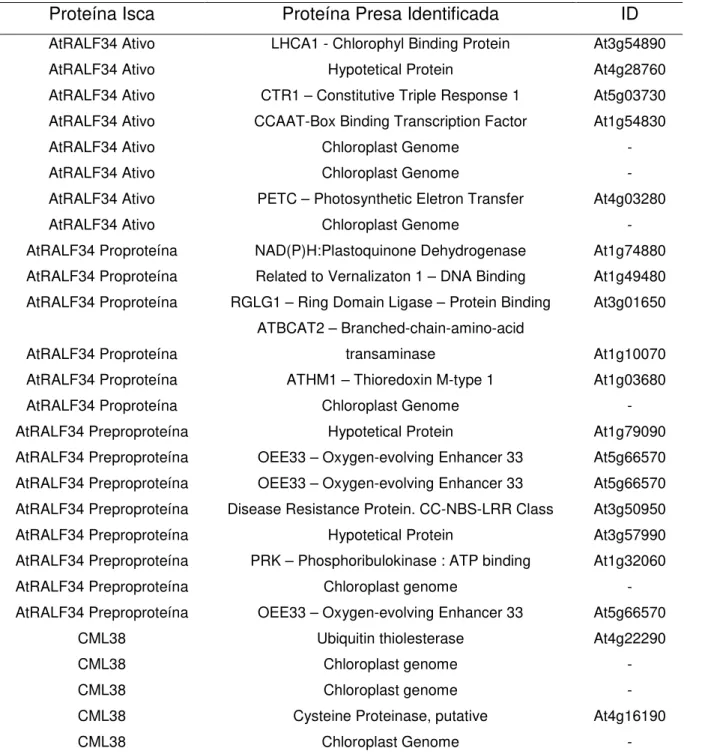 Tabela 2 - Lista das proteínas identificadas como potenciais interagentes