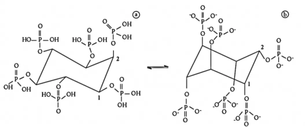 Figura 4.  Fórmula estrutural do ácido Fítico. Fonte: QUIRRENBACH et al., 2009.