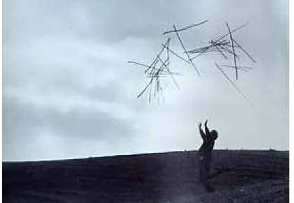 Figura 3 - Andy Goldsworthy. Tossing sticks in the air, 1981. 