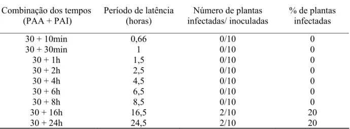 Tabela 3 - Transmissão do ToYVSV por B. tabaci biótipo B após um período de acesso a aquisição (PAA) do  vírus de 30 minutos e diferentes períodos de acesso para inoculação (PAI) 