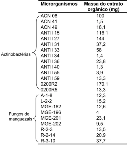 Tabela 5-  Microrganismos selecionados para cultura e produção de extratos orgânicos  em 150 mL de meio de cultura BD
