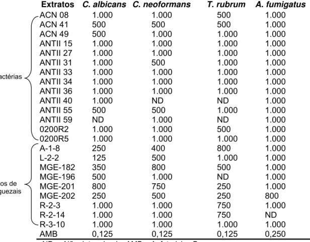 Tabela 6 -  Ação antifúngica sobre C. albicans, C. neoformans, T. rubrum e A. fumigatus