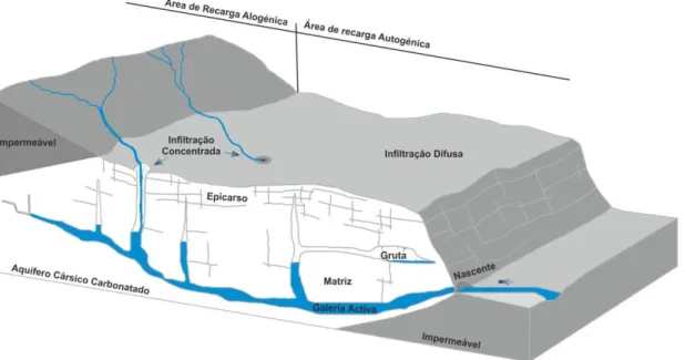 Figura  2.1  -  Esquema  de  um  aquífero  cársico,  apresentando  dois  tipos  de  recarga  (autogénica  e  alogénica),  infiltração  (concentrada  e difusa)  e  formas  de  escoamento  (galerias  ou  na  matriz),  adaptado de  Goldscheider  et  al.,  (20