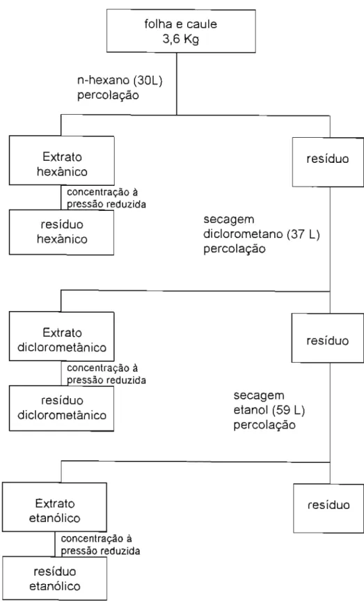 Figura 1 - Esquema de obtenção dos extratos para isolamento de substâncias da folha e do caule, em mistura.