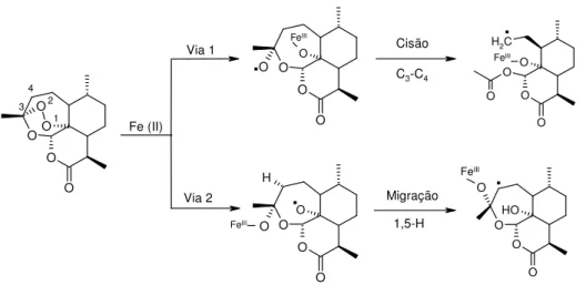 Figura 1.2 - Formação de radicais primários e secundários de carbono na artemisinina  pela acção do Fe 2+ 