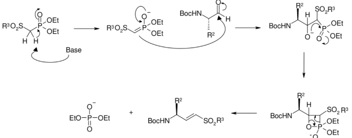 Figura 2.2 - Mecanismo descrito para a obtenção da vinilsulfona, de acordo com a reacção de Horner-Wadsworth-Emmons.