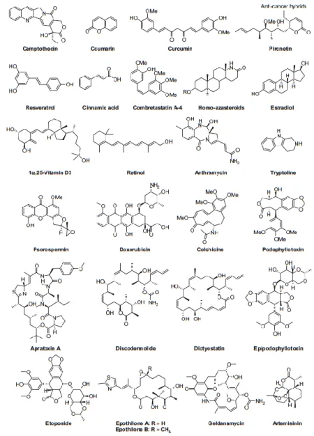 Figura 1 – Fármacos naturais utilizados para síntese de compostos híbridos (15) 