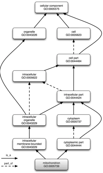 Figure 2.1: Graph representation of Gene Ontology adapted from QuickGO. 1