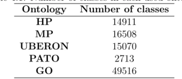 Table 4.1: Number of classes in each used ontology.