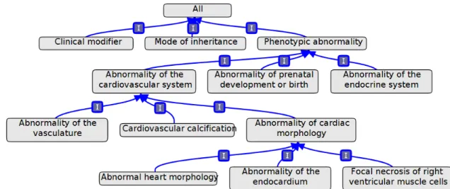Figure 2.1: Graph representation of part of the Human Phenotype ontology, obtained using Obo-Edit (Day-Richter et al., 2007).