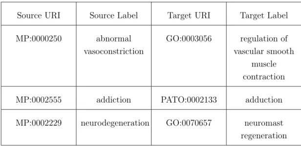Table 4.6: Mappings with no discerning pattern.