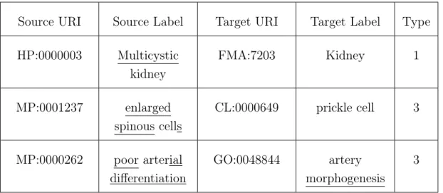 Table 4.7: Reference mappings with the corresponding pattern.