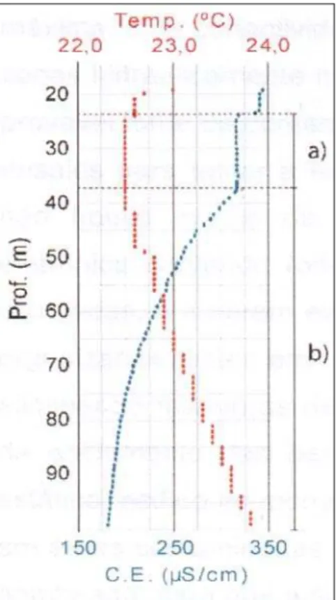 Figura 14 - Perfil da variação da temperatura e condutividade elétrica da água em função da profundidade (a) presença de fluxo; (b) ausencia de fluxo (retirado de Wahnfried, 2010)