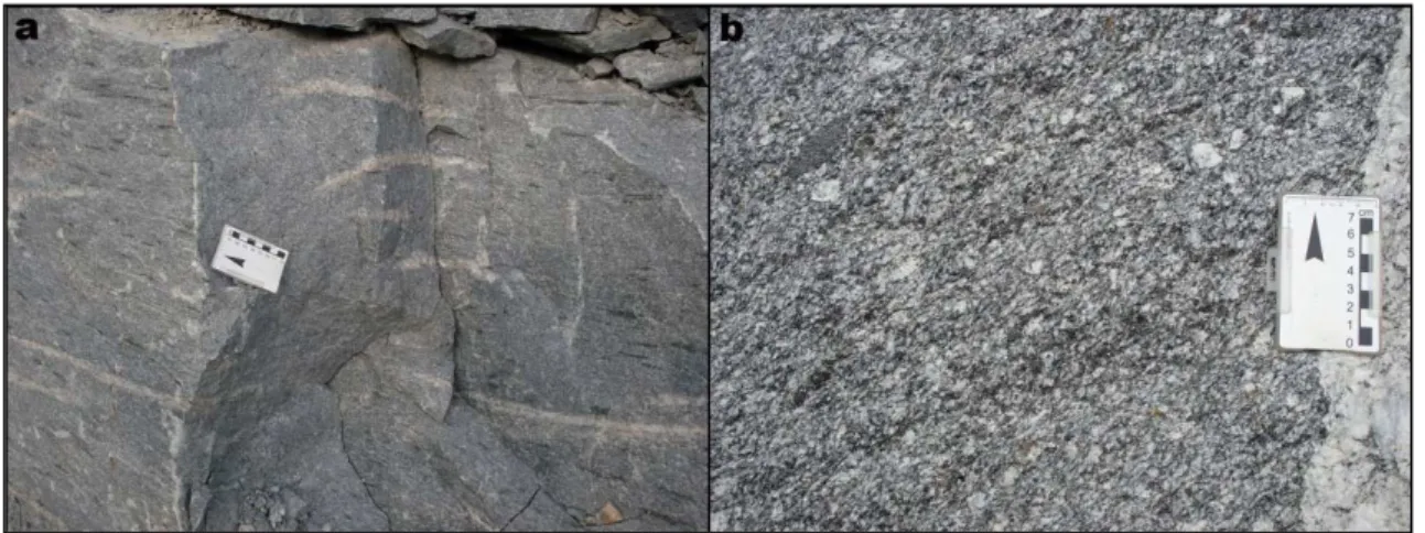 Figura 20 - (a) gnaisse da pedreira GS-1, exibindo estiramento mineral restrito à face a esquerda da  foto; (b) detalhe do granito foliado da pedreira GS-2, com veio de quartzo à direita da foto 