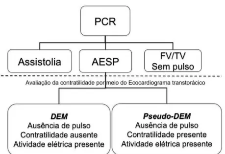 Figura 1  - Dicotomização da atividade elétrica sem pulso. DEM: dissociação  elétrico mecânica; PCR: parada cardiorrespiratória; FV: fibrilação ventricular; 