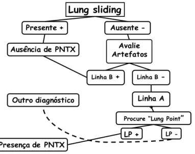 Figura  10  -  Algoritmo  artefatos  pulmonares  para  detecção  pneumotórax 48 ;  LP: lung point; PNTX: pneumotórax; - negativo; + positivo