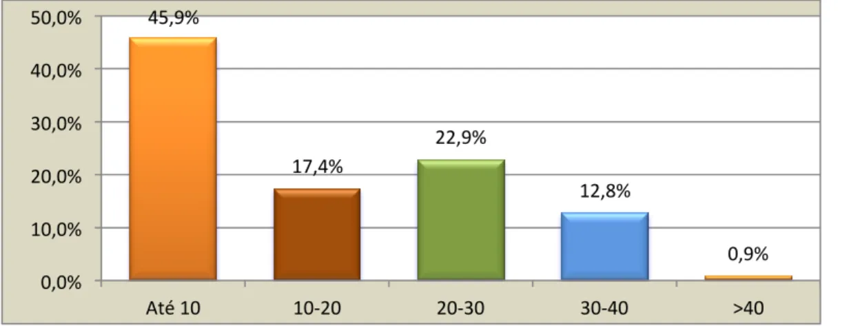 Gráfico 6 – Distribuição da população por experiência profissional 