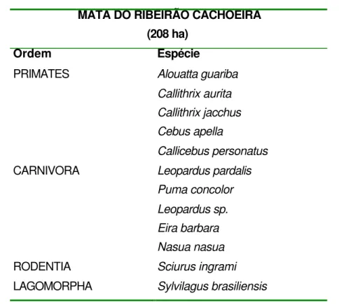 Tabela 6. Lista de mamíferos não-voadores encontrados no fragmento florestal Mata  do Ribeirão Cachoeira (Gaspar, 1997; dados não publicados)