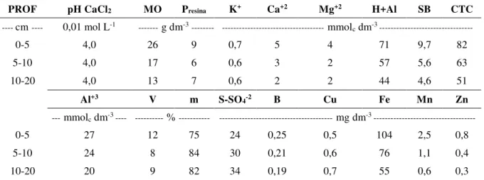 Tabela  2.1  -  Caracterização  química  do  solo  (LVAd) 1 ,  da  área  experimental  AE-37,  nas  diferentes  profundidades (PROF), antes do plantio das mudas de Eucalyptus grandis 