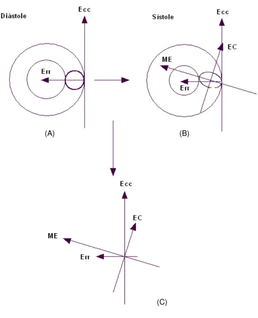 Figura 4.   Representação  esquemática  do  eixo  curto  do  VE.  Deformação  sistólica  do  VE  em  um  círculo  localizado  no  miocárdio