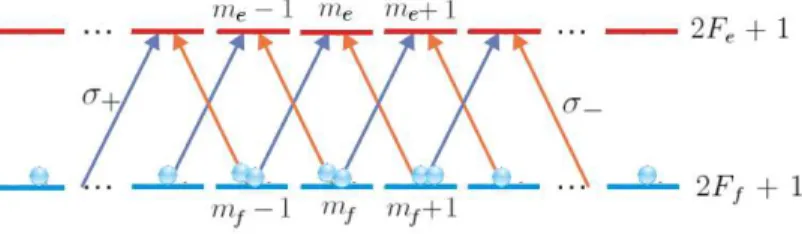Figura 1.8: Esquema de n´ıveis degenerados, dando lugar para v´ arios sistemas de EIT em configura¸c˜ ao Λ