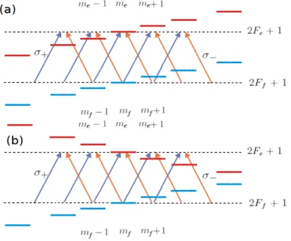 Figura 1.9: (a) Dessintonia sintonizada do laser com respeito dos n´ıveis atˆ omicos gerada pelo campo magn´ etico quando γ e tem o mesmo signal que γ f 
