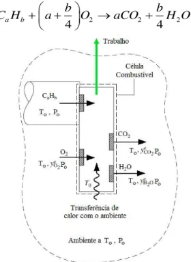 Figura 3.5. Célula de combustível usada para a determinação da exergia química de um  hidrocarboneto