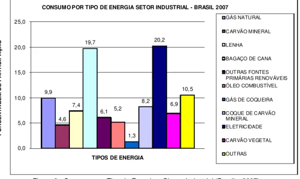 Figura 8 - Consumo por Tipo de Energia – Classe Industrial (Brasil – 2007)  Fonte:MME - http://www.mme.gov.br