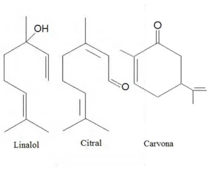 Figura 2. Estrutura molecular de alguns compostos oxigenados. 
