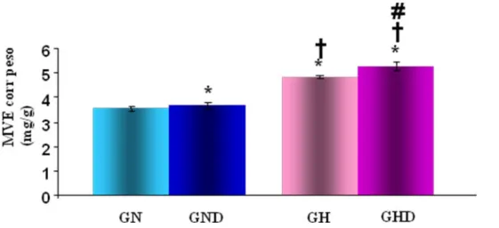 Figura 7: Massa do ventrículo esquerdo corrigido pelo peso corporal (MVEcorr peso)  dos  grupos  normotenso  (GN),  normotenso  desnervado  (GND),  hipertenso  (GH)  e  hipertenso desnervado (GHD)