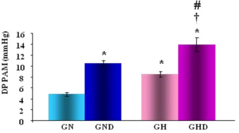 Figura  13:  Variabilidade  da  pressão  arterial  média  expressa  pela  média  dos  desvios  padrão  (DP  PAM)  dos  grupos  normotenso  (GN),  normotenso  desnervado  (GND),  hipertenso (GH) e hipertenso desnervado (GHD)