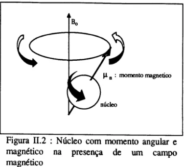 Figura 11.2 : Nlicleo com momento angular e magnetico na presen~a de urn campo magnetico
