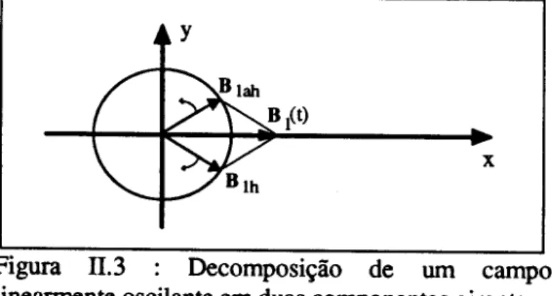 Figura 11.3 : Decomposi~ao de urn campo linearmente oscilante em duas componentes girantes.