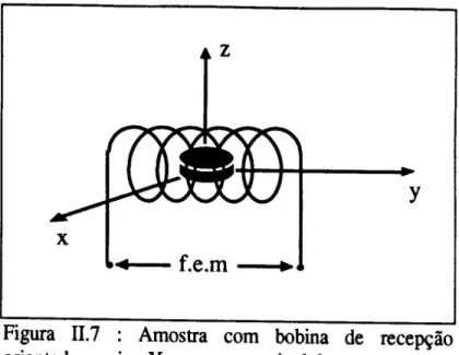 Figura 11.7 : Amostra com bobina de rece~ao orientada no eixo Y, que capta 0 sinal de resposta f.e.m
