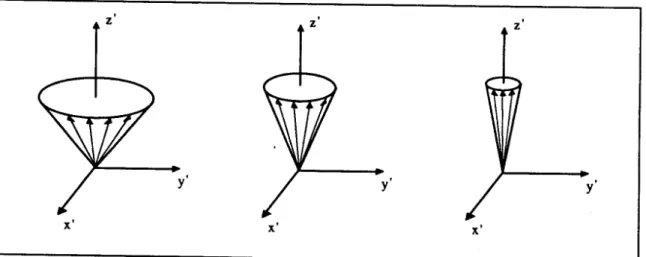Figura 11.9 : Volta da magnetiza~ao para 0 equihorio t6rmico ilustrando a relaxa~ao longitudinal