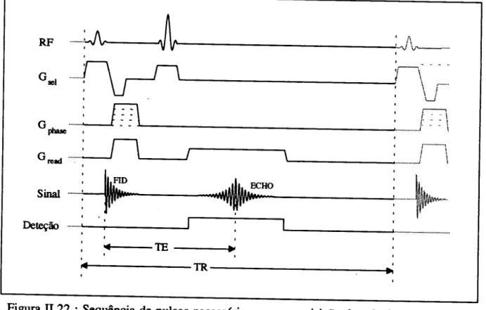 Figura 11.22 : Sequencia de pulsos necessarios para a aquisi~ao dos sinais de RMN pela tecnica de &#34;Spin Echo&#34; (SE)