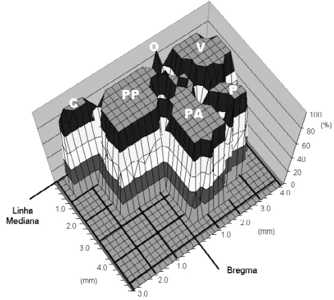 Gráfico 1.   Mapa funcional motor probabilístico tridimensional. 