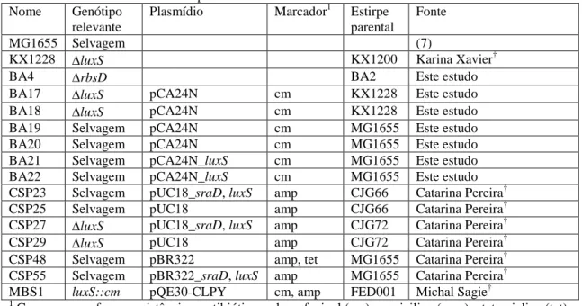 Tabela 2 – Estirpes de Escherichia coli K-12 utilizadas neste estudo. 