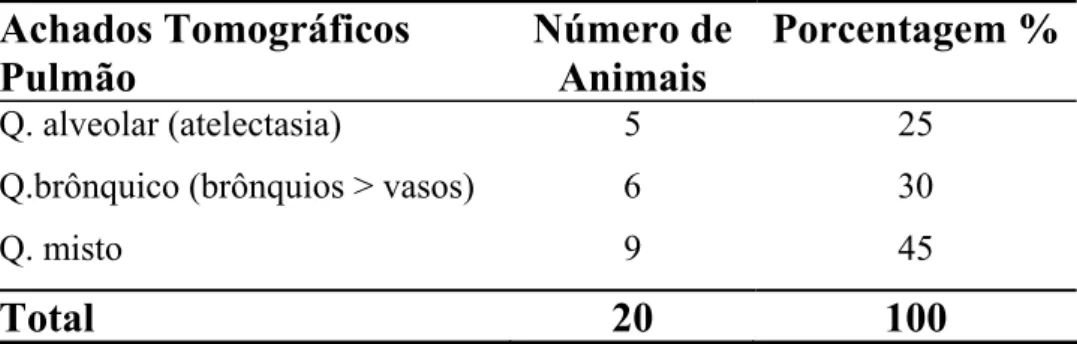 Tabela 3 -  Quadros pulmonares observados ao exame tomográfico de 20 animais  portadores de neoplasias mamárias malignas
