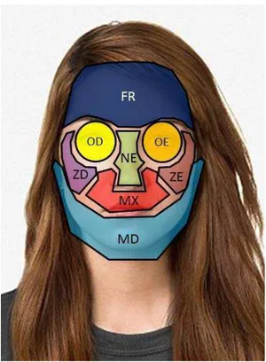 Figura 7 - Padronização da face em 8 regiões: FR-Frontal; OD-Orbital direita; OE-Orbital esquerda; NE- NE-Nasoetmoidal; ZD- Zigomática direita; ZE-Zigomática esquerda; MX-Maxilar; MD-Mandibular 